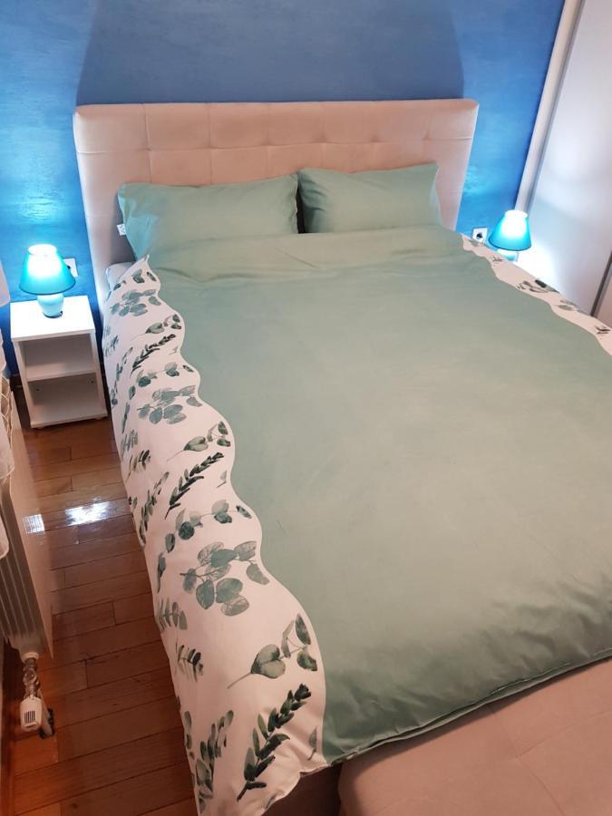 Apartman Kej Blue Free Parking Kraljevo Exteriör bild
